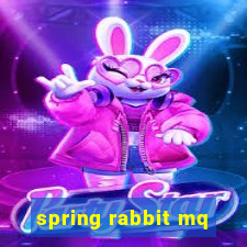 spring rabbit mq